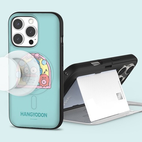 Sanrio window magnet - window, door